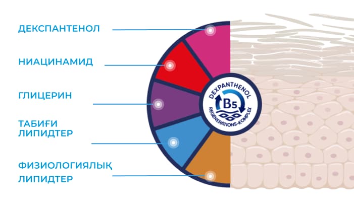 Компоненты